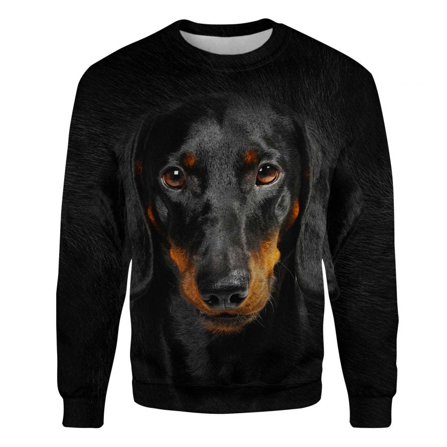 Dachshund - Face Hair - Premium Sweater