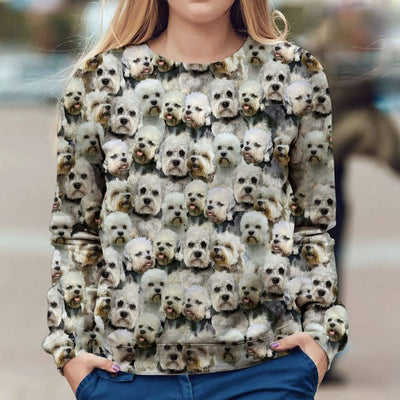 Dandie Dinmont Terrier - Full Face - Premium Sweater