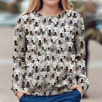 Dogo Argentino - Full Face - Premium Sweater