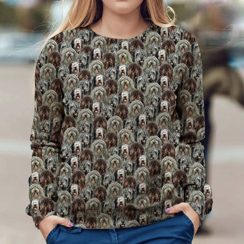 Drentse Patrijshond - Full Face - Premium Sweater