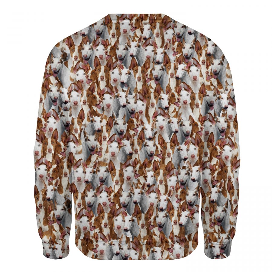 Ibizan Hound - Full Face - Premium Sweater