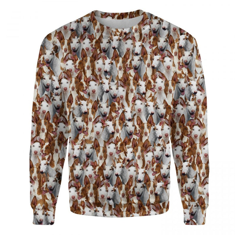 Ibizan Hound - Full Face - Premium Sweater