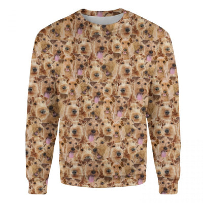 Irish Terrier - Full Face - Premium Sweater