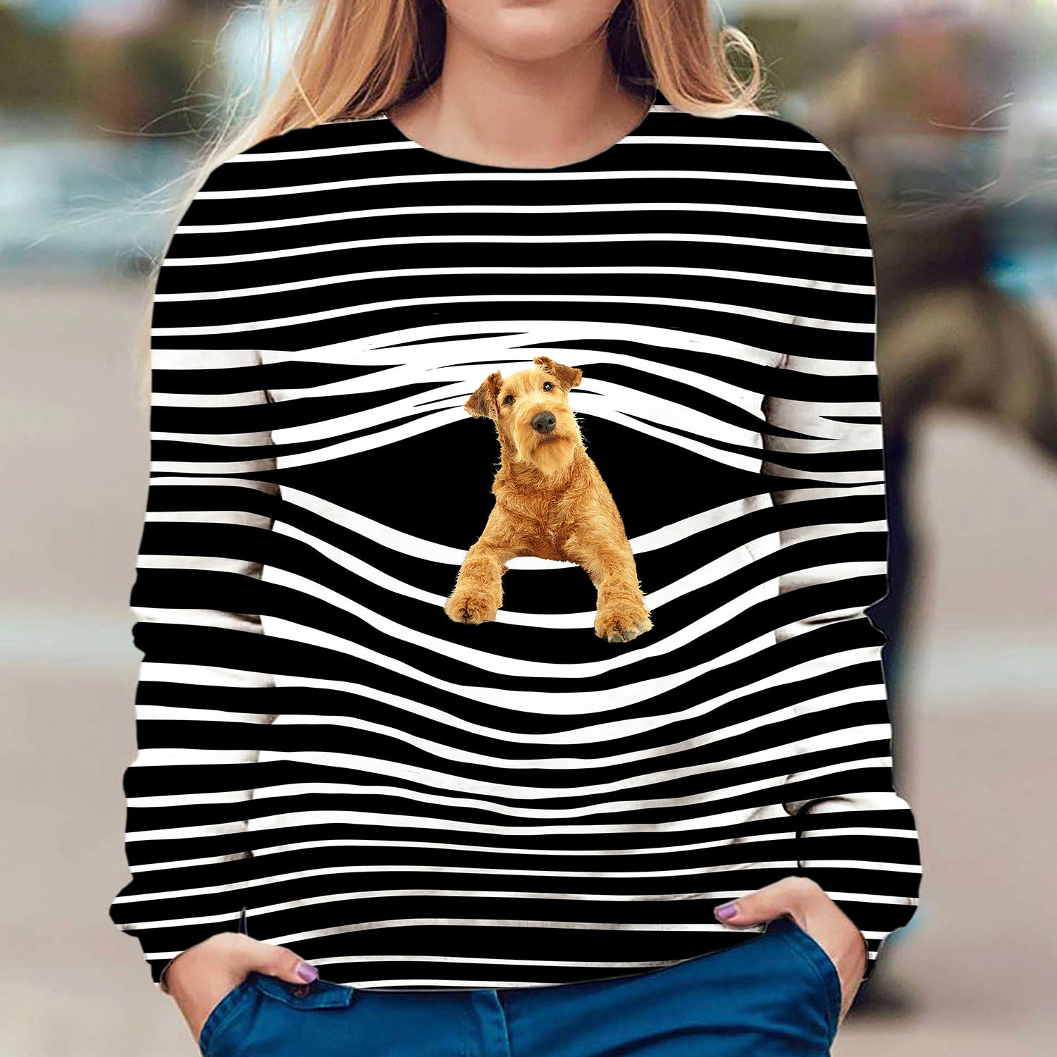 Irish Setter-02 - Stripe - Premium Sweater