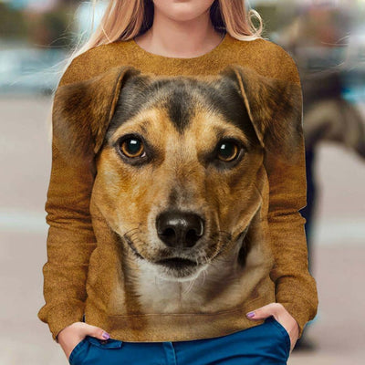 Jack Russell Terrier - Face Hair - Premium Sweater