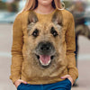 Laekenois Dog - Face Hair - Premium Sweater