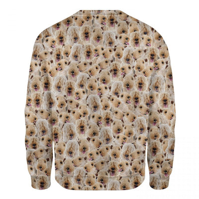 Lakeland Terrier - Full Face - Premium Sweater