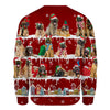 Leonberger - Snow Christmas - Premium Sweater