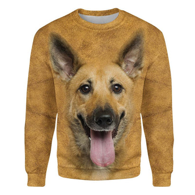 Malinois Dog - Face Hair - Premium Sweater