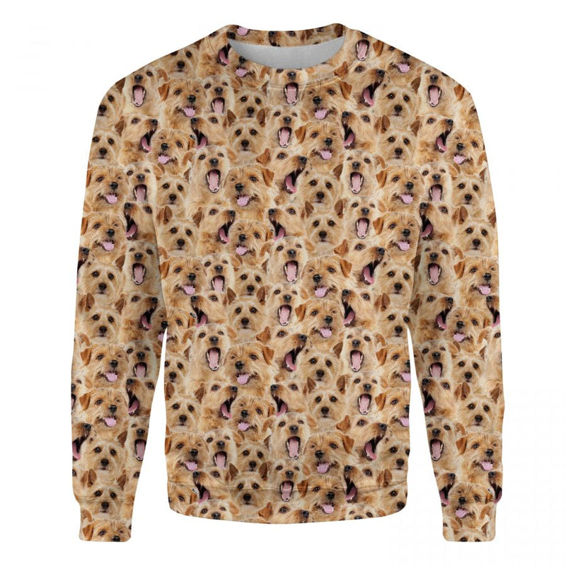 Norfolk Terrier - Full Face - Premium Sweater