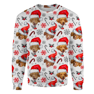 Nova Scotia Duck Tolling  - Xmas Decor - Premium Sweater