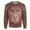 Patterdale Terrier - Face Hair - Premium Sweater