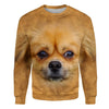 Pekingese - Face Hair - Premium Sweater