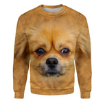 Pekingese - Face Hair - Premium Sweater