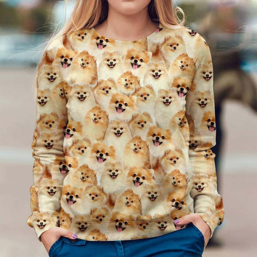 Pomeranian - Full Face - Premium Sweater