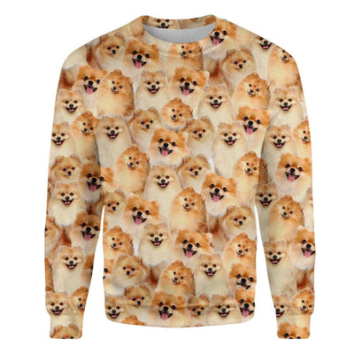 Pomeranian - Full Face - Premium Sweater