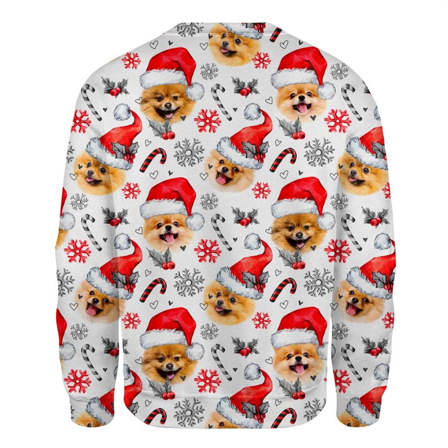 Pomeranian - Xmas Decor - Premium Sweater