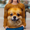 Pomeranian - Face Hair - Premium Sweater