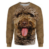 Spanish Water Dog - Face Hair - Premium Sweater