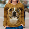 Staffordshire Bull Terrier - Face Hair - Premium Sweater