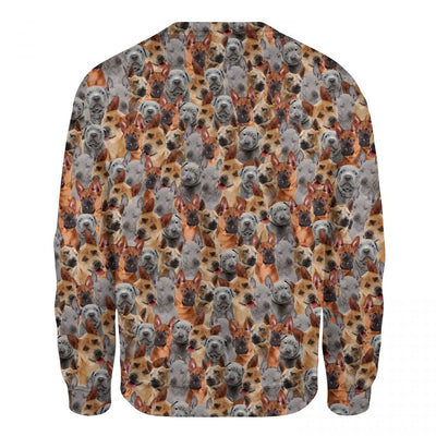 Thai Ridgeback - Full Face - Premium Sweater