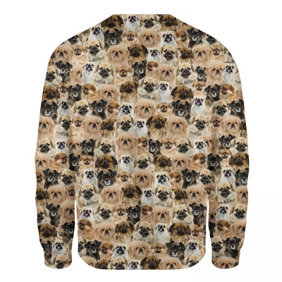 Tibetan Spaniel - Full Face - Premium Sweater