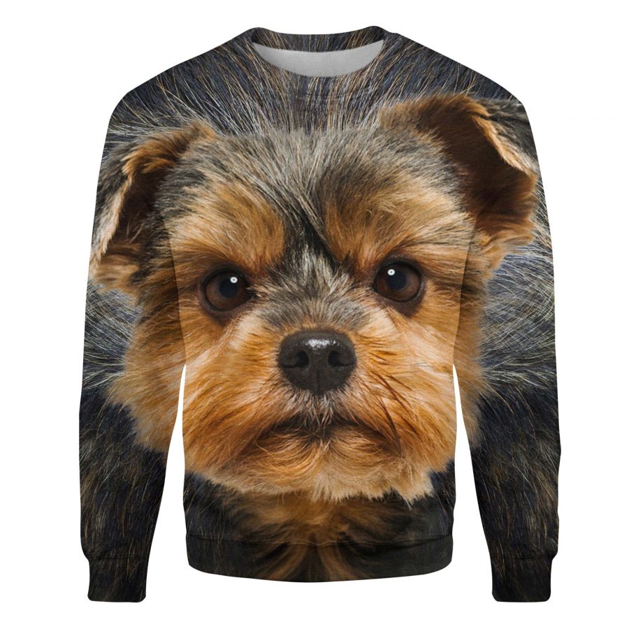 Yorkshire Terrier - Face Hair - Premium Sweater