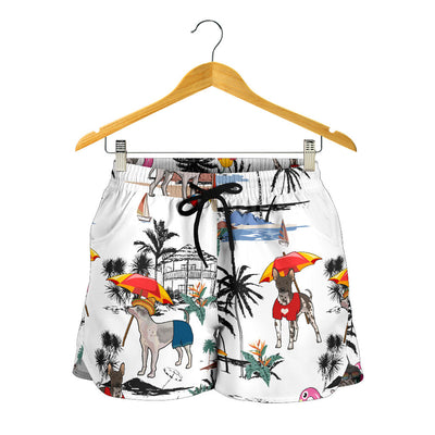 American Hairless Terrier-Summer Beach-SW