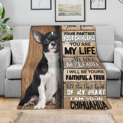 Chihuahua-Your Partner Blanket