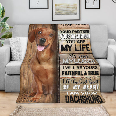 Dachshund 1-Your Partner Blanket