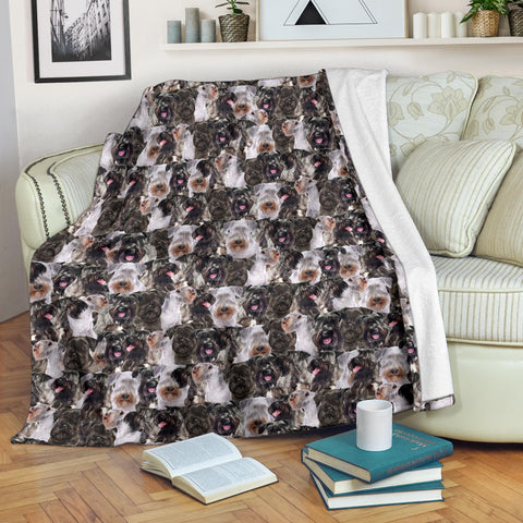 Cesky Terrier Full Face Blanket