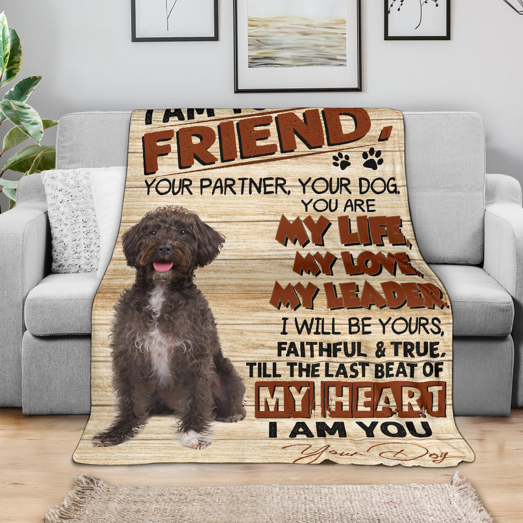 Schnoodle-My Love Blanket