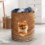 Pomeranian - Rattan - LB