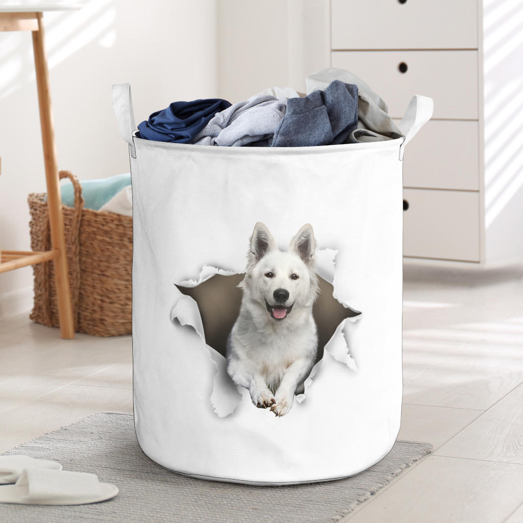 Berger Blanc Suisse - Tornpaper - LB