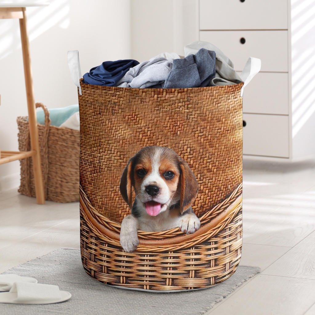 Beagle2 - Rattan - LB