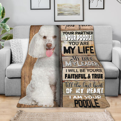 Poodle 3-Your Partner Blanket