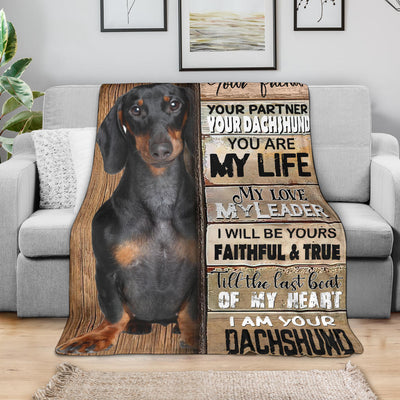 Dachshund 2-Your Partner Blanket