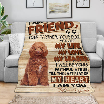 Poodle 3-My Love Blanket