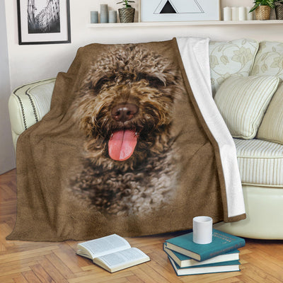 Spanish Water Dog Face Hair Blanket