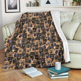 Bullmastiff Full Face Blanket