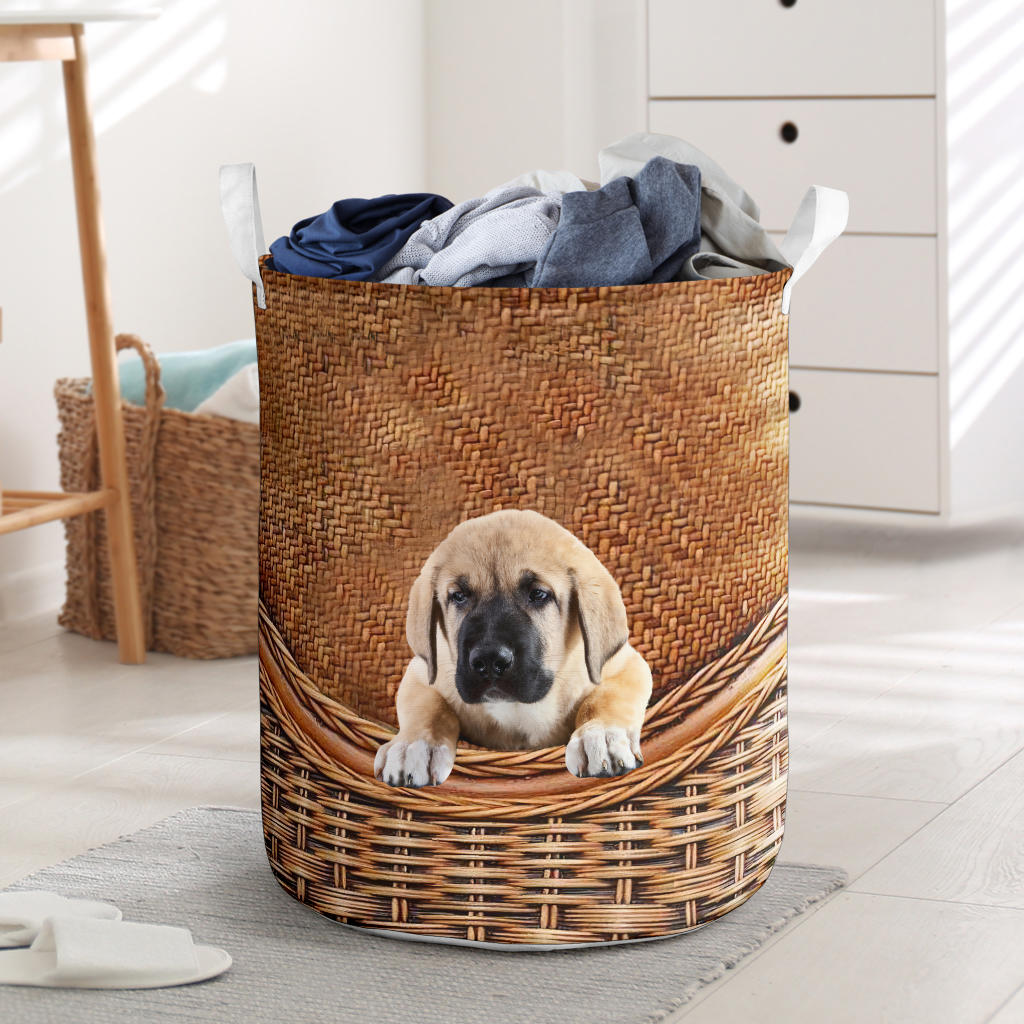 Spanish Mastiff - Rattan - LB