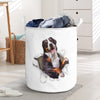 Greater Swiss Mountain dog - Tornpaper - LB
