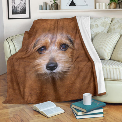 Norfolk Terrier Face Hair Blanket