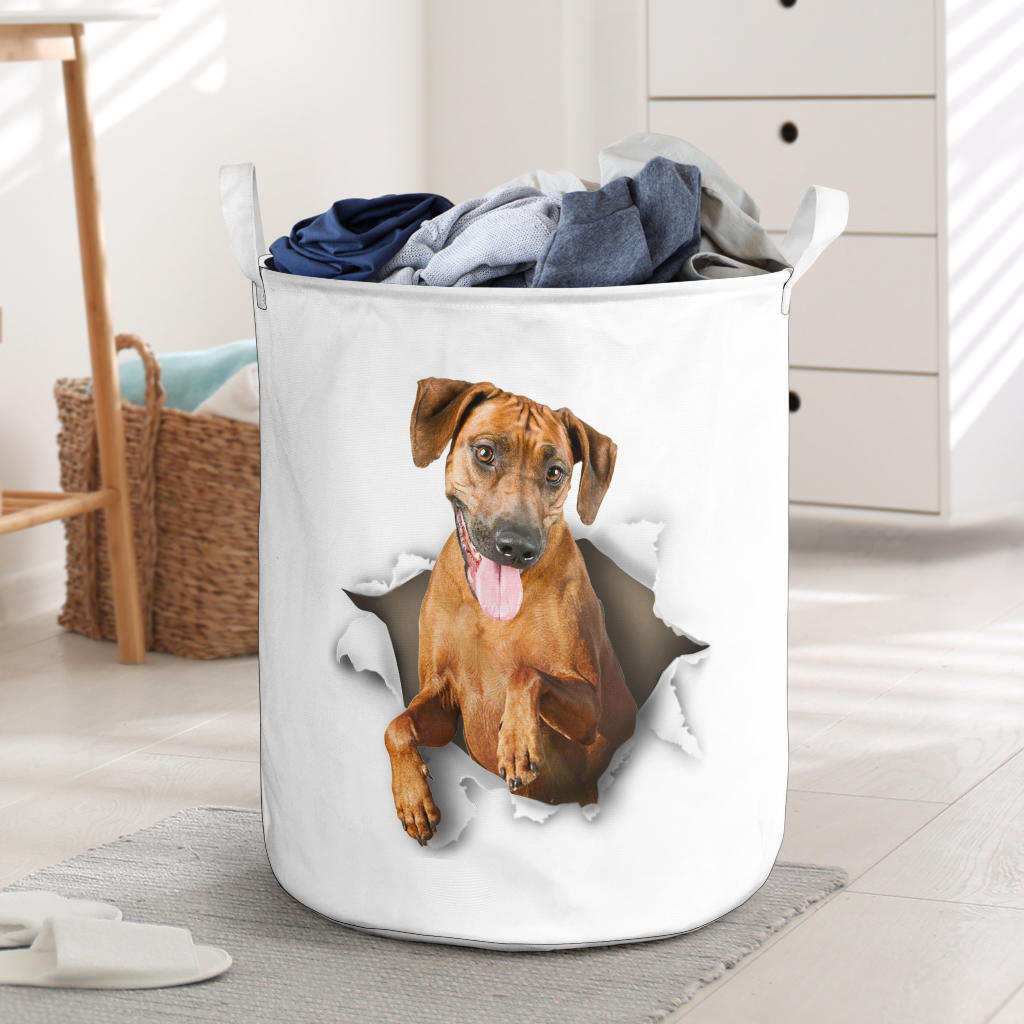 Rhodesian Ridgeback - Tornpaper - LB