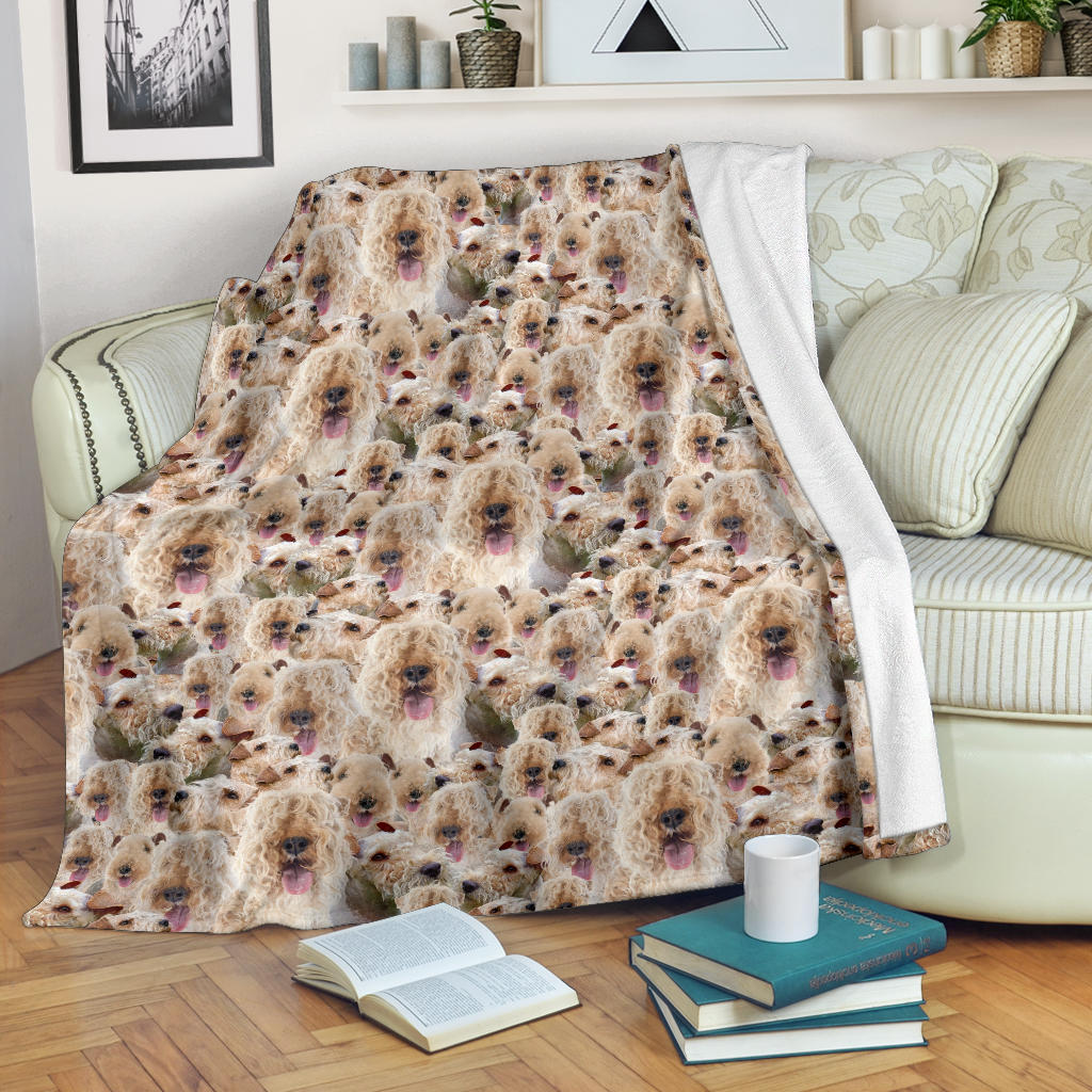 Lakeland Terrier Full Face Blanket