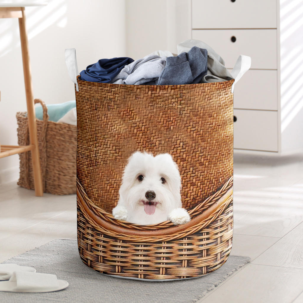 Coton De Tulear - Rattan - LB