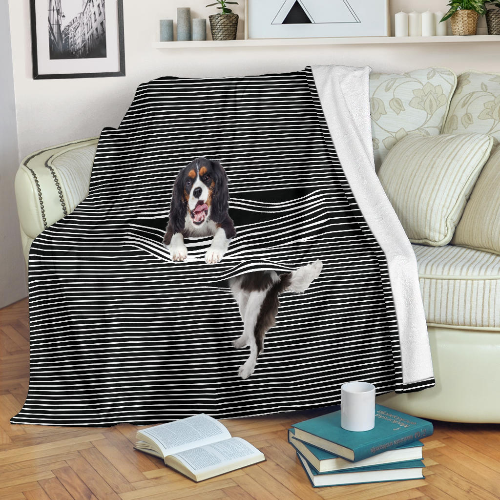 King Charles Spaniel Back and White Blanket