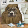 American Staffordshire Terrier Face Hair Blanket