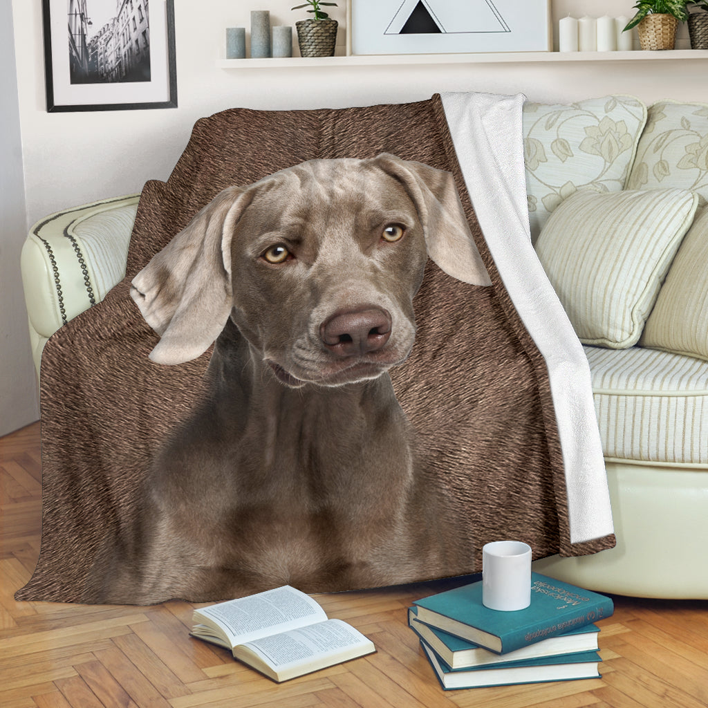 Weimaraner - Blanket - 1267