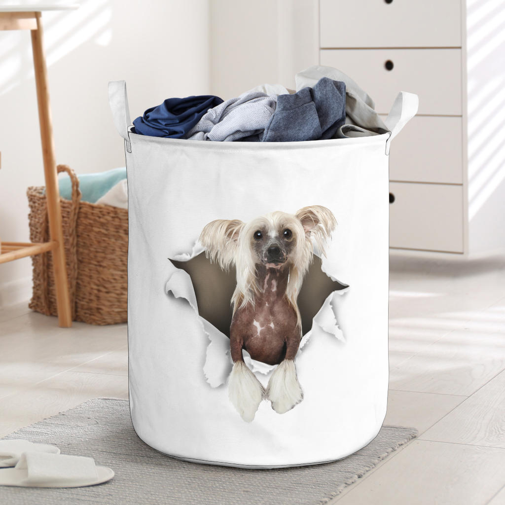 Chinese Crested - Tornpaper - LB